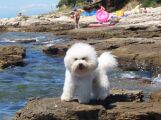 Blondy u mo�e