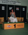 Nejkr�sn�j�� p�r v�stavy - MVP Bratislava 16.8. 2003