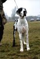 Chieta z Josefovsk�ch bud