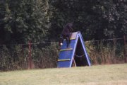 Ibekles z Josefovsk�ch bud