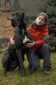 Ira z Josefovsk�ch bud