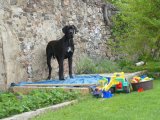 Kurass z Josefovsk�ch bud