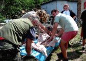 V�cvikov� t�bor Josefov 2006