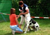 V�cvikov� t�bor Josefov 2006