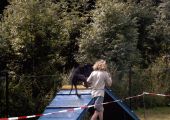 V�cvikov� t�bor Josefov 2006