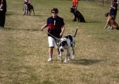 V�cvikov� t�bor Josefov 2006