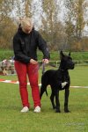 Mona z Josefovsk�ch bud