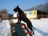 Mona z Josefovsk�ch bud