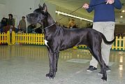 Mona z Josefovsk�ch bud