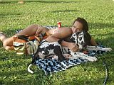 Perdyta z Josefovsk�ch bud