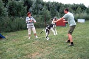 V�cvikov� t�bor Josefov 2005