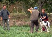 V�cvikov� t�bor Josefov 2007