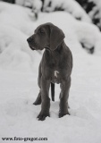 Lord z Josefovsk�ch bud