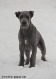 Lord z Josefovsk�ch bud