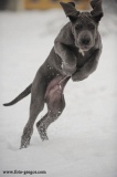 Lord z Josefovsk�ch bud