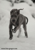 Lord z Josefovsk�ch bud