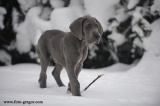 Lord z Josefovsk�ch bud