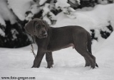 Lord z Josefovsk�ch bud
