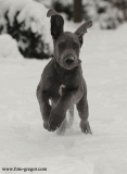 Lord z Josefovsk�ch bud