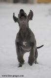 Lord z Josefovsk�ch bud
