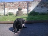 �t��ata z Josefovsk�ch bud