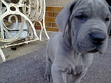 �t��ata z Josefovsk�ch bud