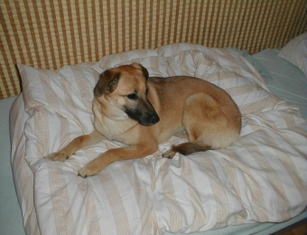 j� v�m �e bych nem�la