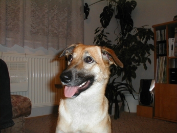 copak mi to ��kaj�?