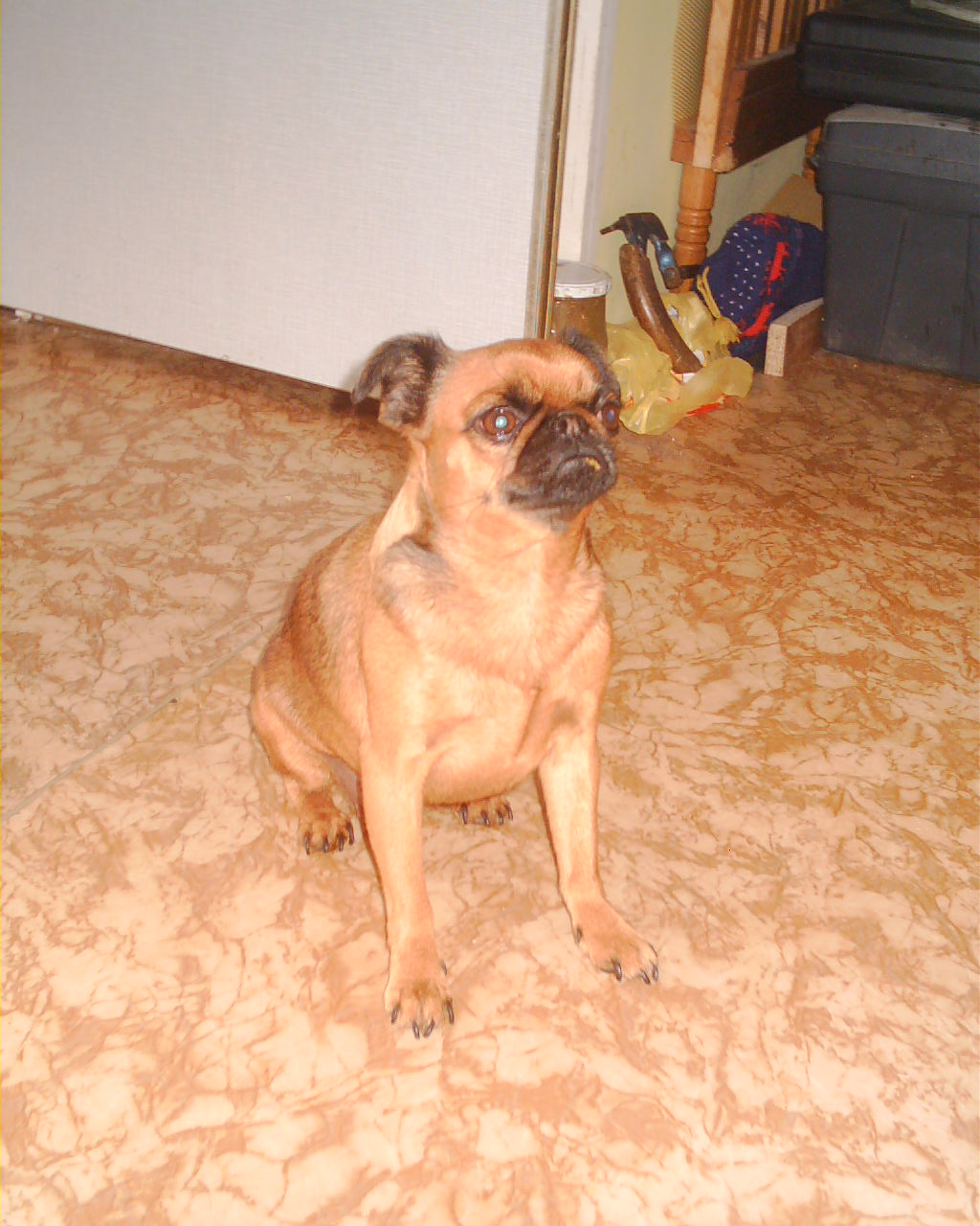 Dom�c� pohoda