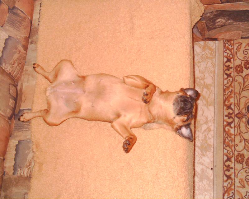 Odpo�inek