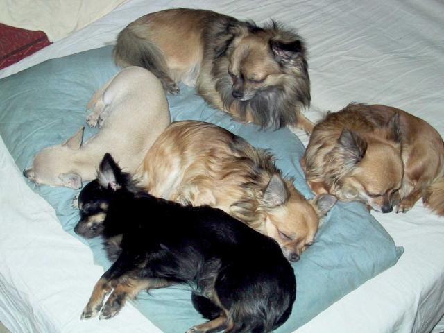 Spac� siesta