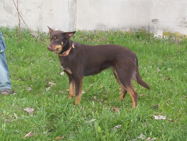 Annie Xapat�n 1