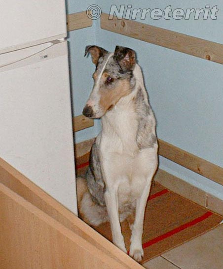 Beeba na sv�m m�ste�ku
