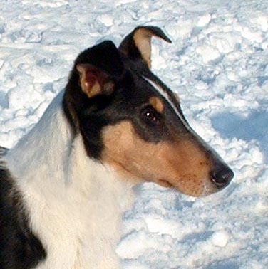 Bayla Bayla Nirreterrit - 18 t�dn�