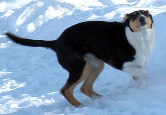 Bayla Bayla Nirreterrit - 18 t�dn� - "hahaha"