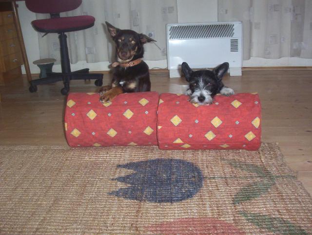 my d�l�me v�echno spolu