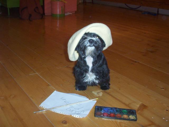 piccaso po druh�
