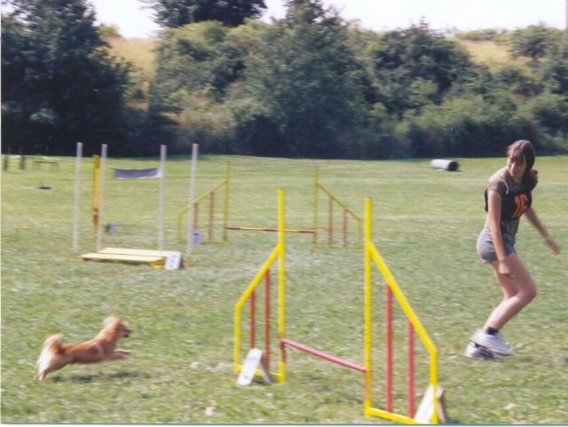 na�e agility