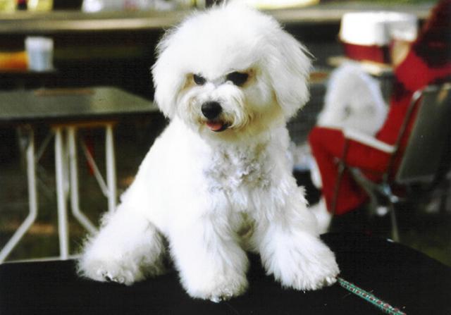t�sn� p�ed v�stavou