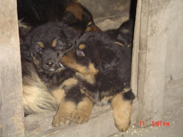 v boud�