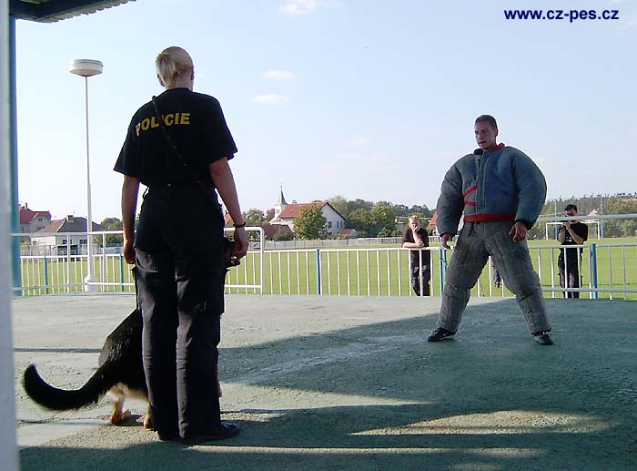 V�slech pachatele