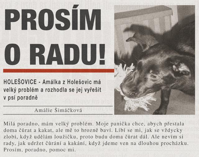 Pros�m o radu!