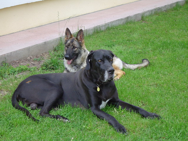 Karin zo �iaru