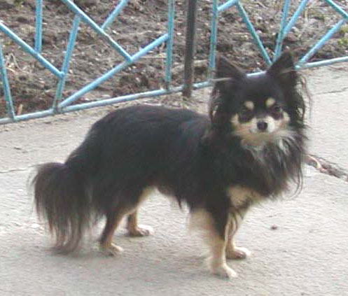 N� krasavec