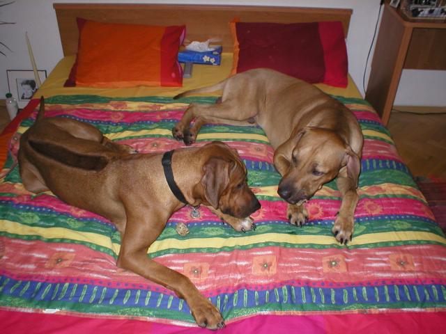s kamar�dem