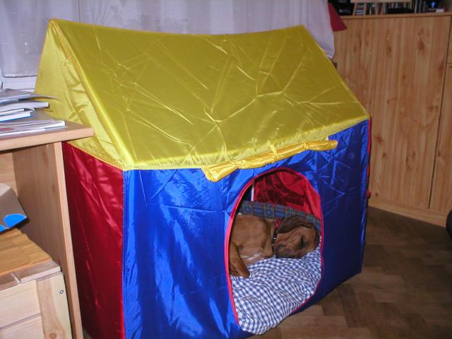 a m�m kone�n� sv�j stan