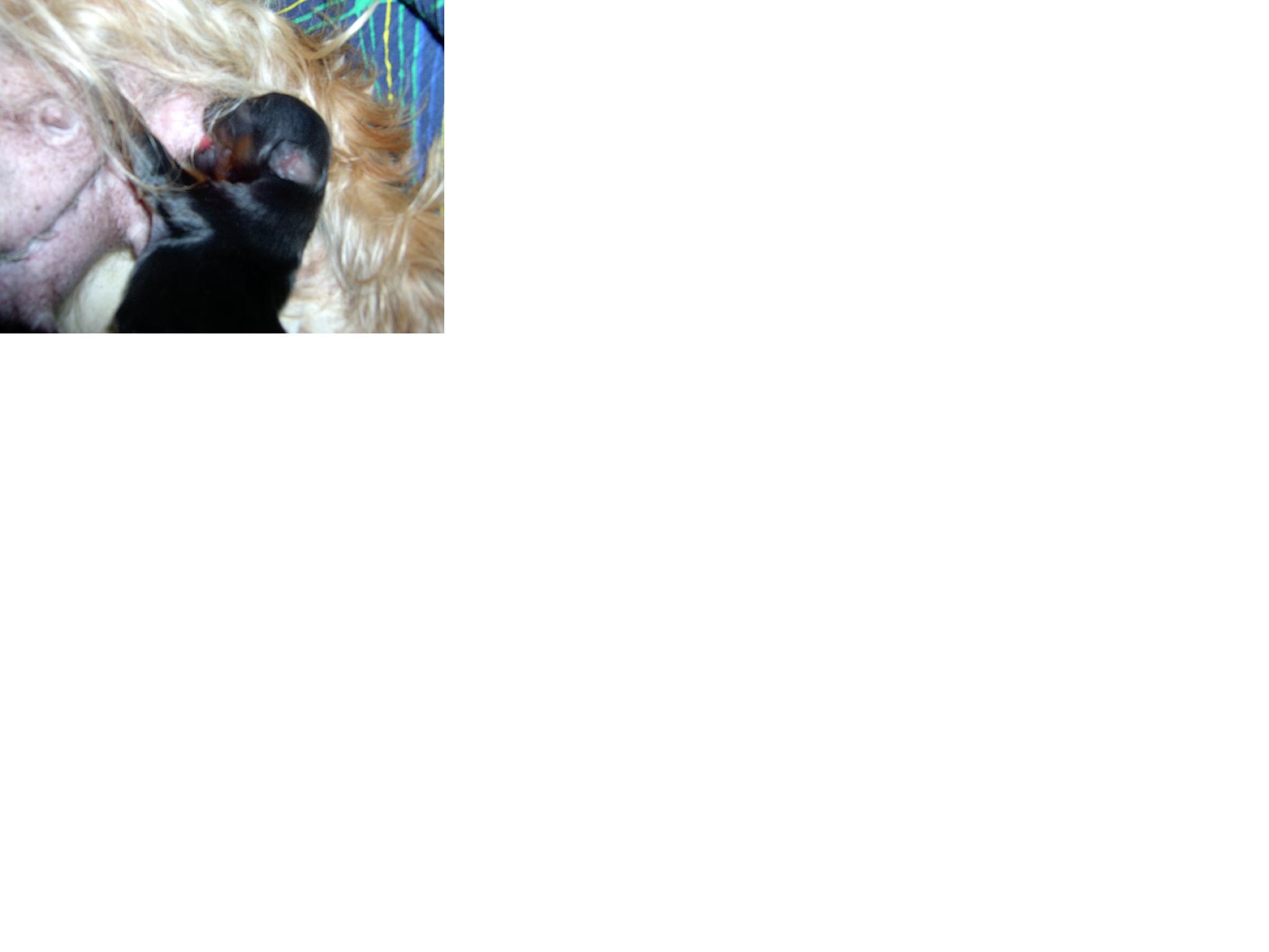 ba�t�m u maminky