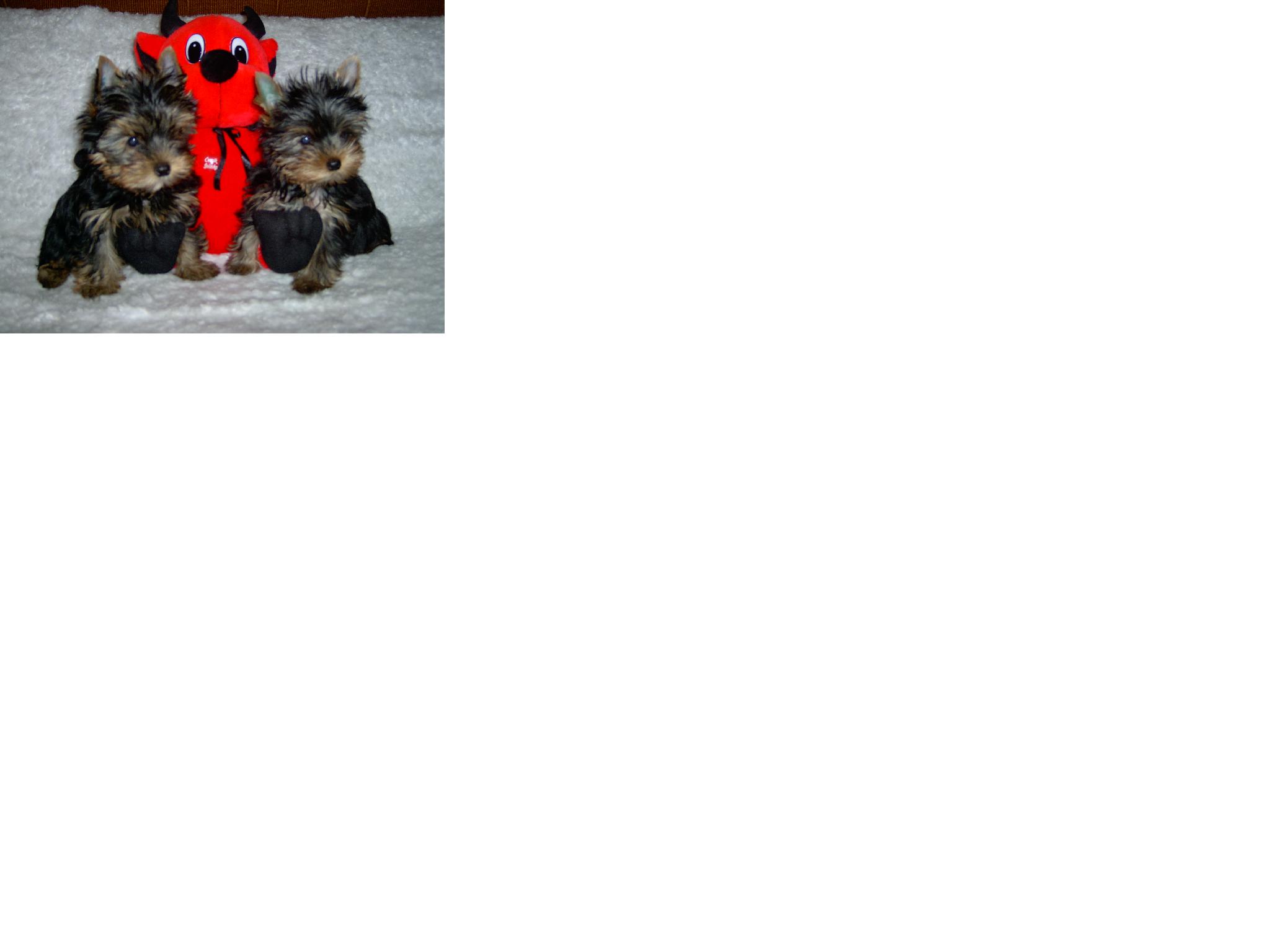 tady jsem se s�grou