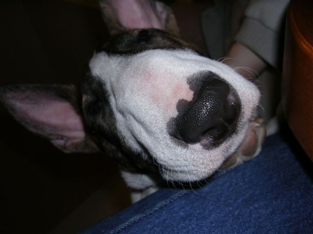 �uchy, �uchy :o)