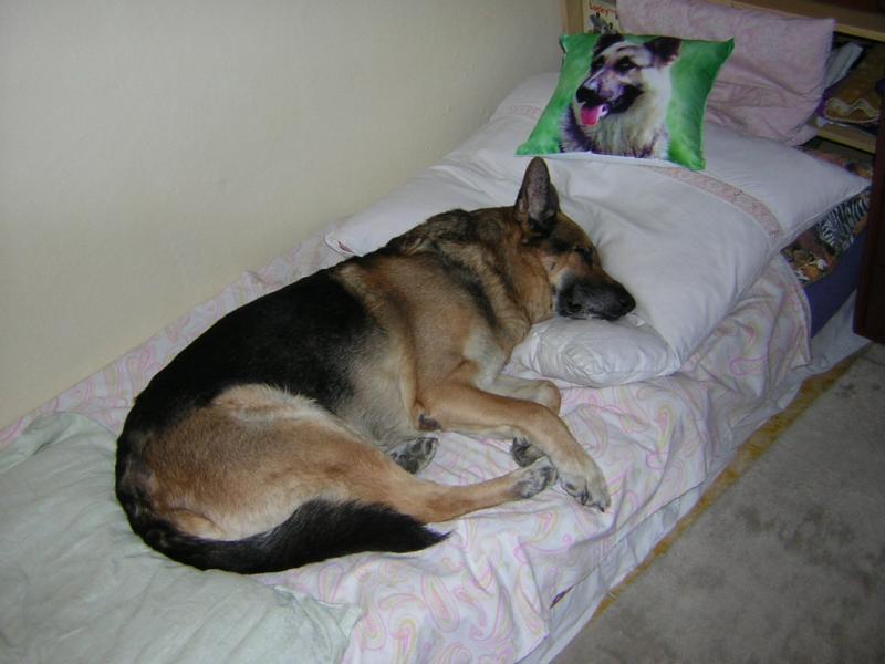  v posteli se to spink�